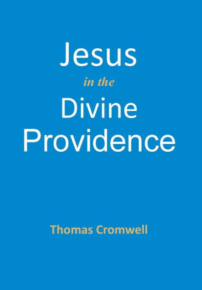 Jesus In The Divine Providence