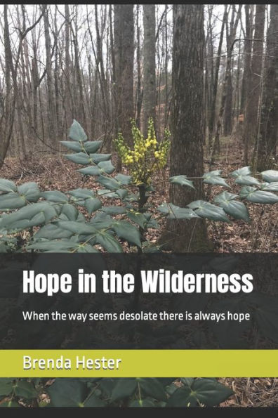 Hope In The Wilderness