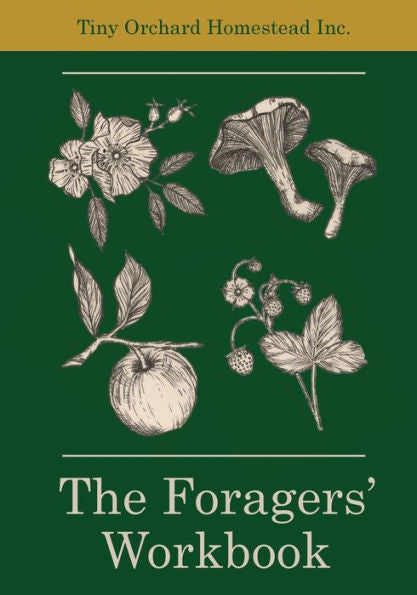 El libro de trabajo de los recolectores: plan para la búsqueda exitosa de alimentos silvestres de plantas medicinales y comestibles: áreas designadas para crear mapas; Mencionar Recetas; Registro... Indicar Prácticas Ambientales Sostenibles