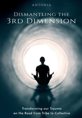 Dismantling The 3Rd Dimension: Transforming Our Trauma On The Road From Tribe To Collective