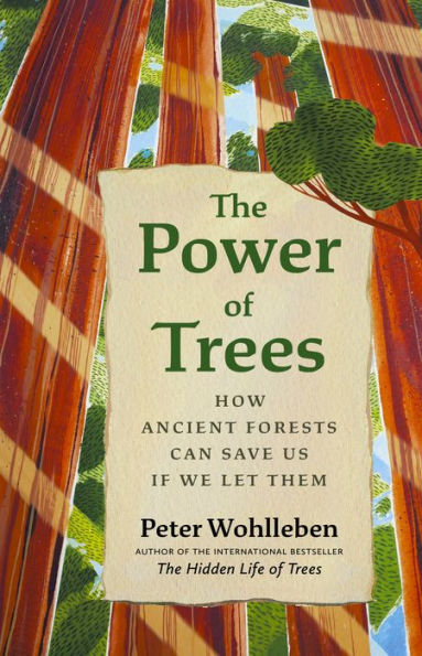 The Power Of Trees: How Ancient Forests Can Save Us If We Let Them (From The Author Of The Hidden Life Of Trees)