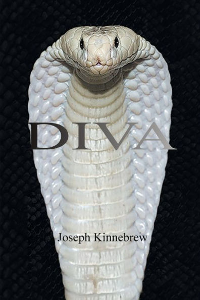 Diva - 9781778831164