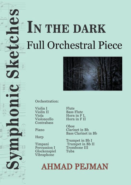 In The Dark: Full Orchestral Piece (Symphonic Sketches) - 9781778920158