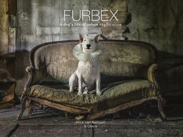 Furbex: la vida de exploración urbana de un perro