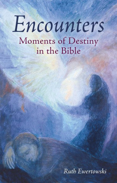 Encounters: Moments Of Destiny In The Bible - 9781782508687