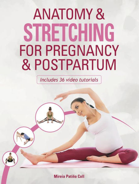 Anatomy & Stretching For Pregnancy & Postpartum