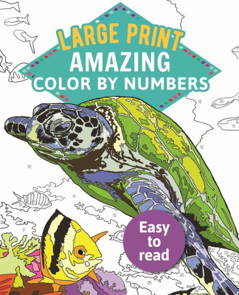 Amazing Color-by-Numbers Large Print (Arcturus Large Print Color by Numbers Collection)