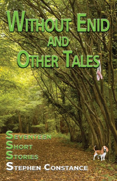 Without Enid And Other Tales: Seventeen Short Stories - 9781789633481