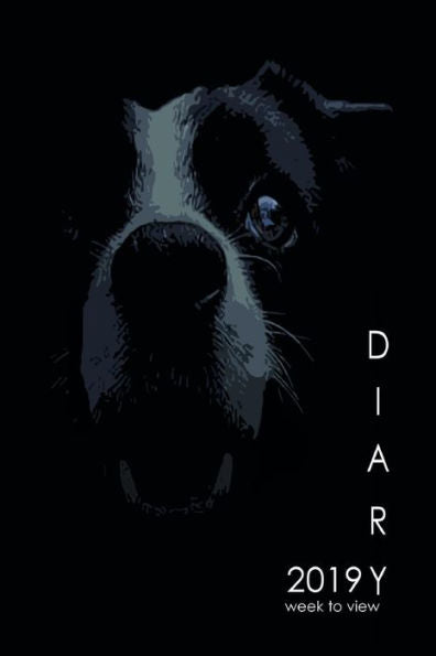 Agenda 2019 Semana para ver: Diseño de Border Collie para amantes de los perros