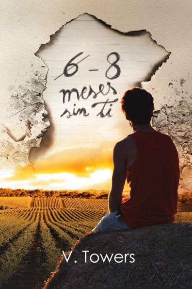 6 – 8 meses sin ti.: (Segunda parte de Mi mujer perfecta) (Spanish Edition)