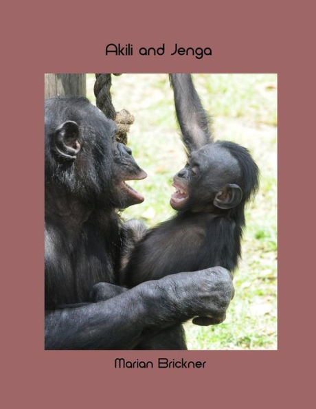 Akili y Jenga
