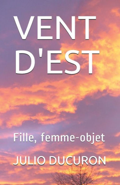 Vent D'Est: Fille, Femme-Objet (French Edition)