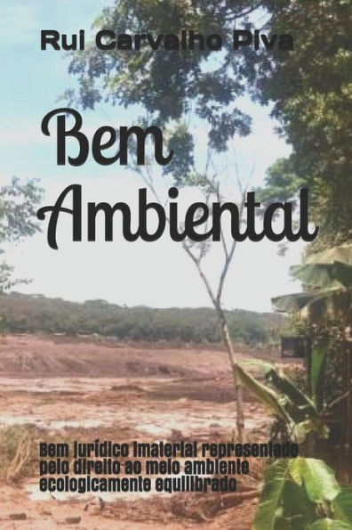 Bem Ambiental: Bem jurídico imaterial representado pelo direito ao meio ambiente ecologicamente equilibrado (Portuguese Edition)