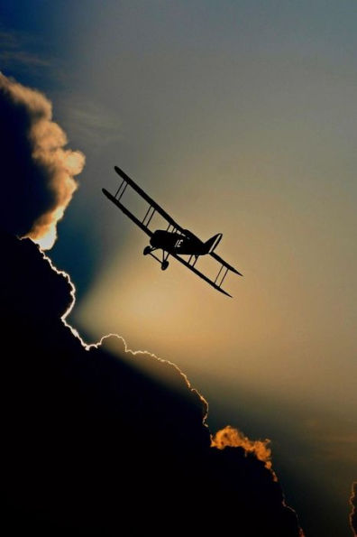 BIPLANE SILHOUETTE: A fixed-wing aircraft with two main wings stacked one above the other. The first powered, controlled airplane to fly, the Wright ... many aircraft in the early years of aviation.