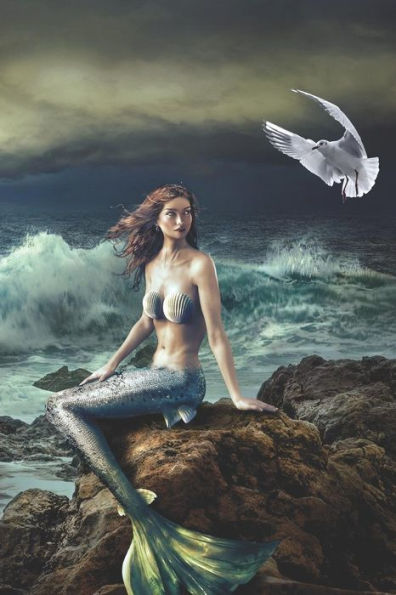 Mermaid On The Rocks Diary