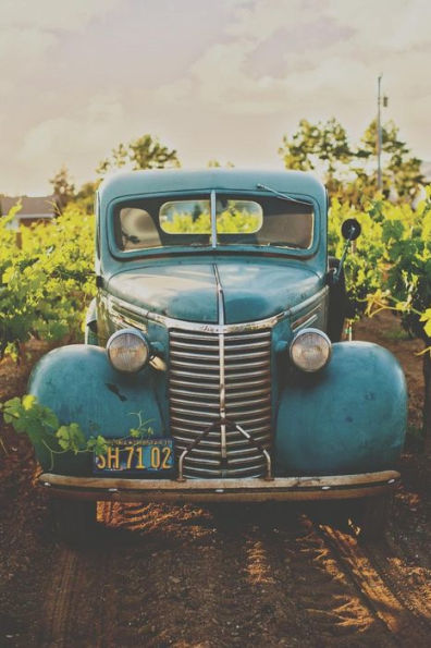 Diario bohemio americano