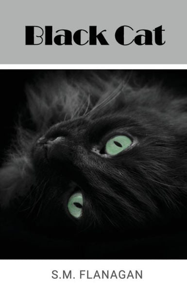 Black Cat - 9781800945395