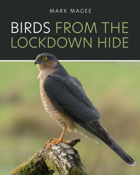 Birds From The Lockdown Hide - 9781802275933