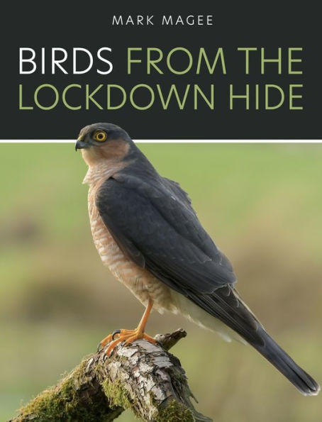 Birds From The Lockdown Hide - 9781802275957