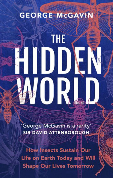 The Hidden World: How Insects Sustain Life On Earth Today And Will Shape Our Lives Tomorrow - 9781802794939