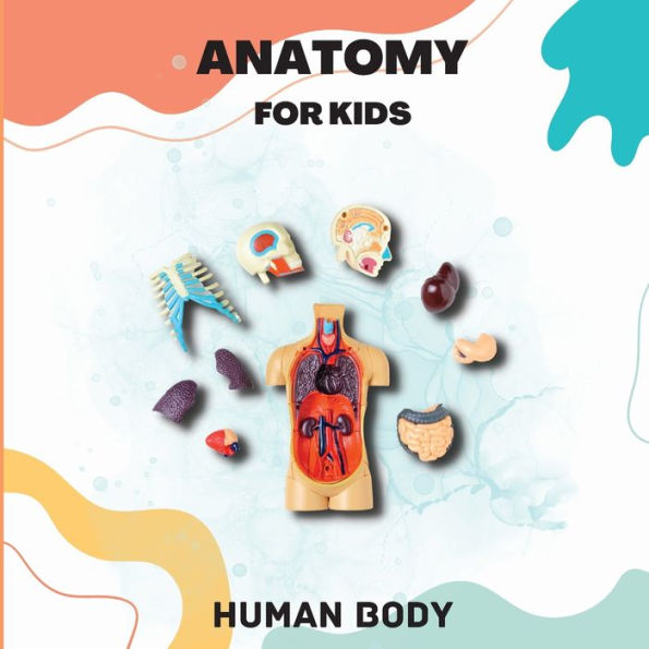 Human Body Anatomy For Kids: Human Body Introduction For Children Ages 5 And Up/Kids' Guide To Human Anatomy (Science Book For Kids) - 9781803859767
