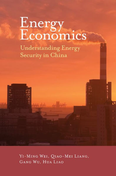 Energy Economics: Understanding Energy Security In China