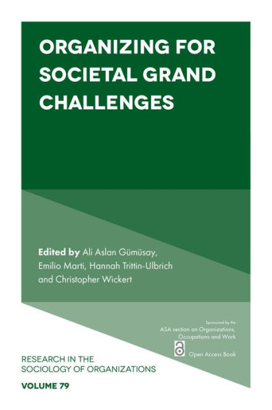 Organizing For Societal Grand Challenges (Research In The Sociology Of Organizations, 79)