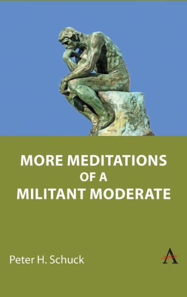 More Meditations Of A Militant Moderate
