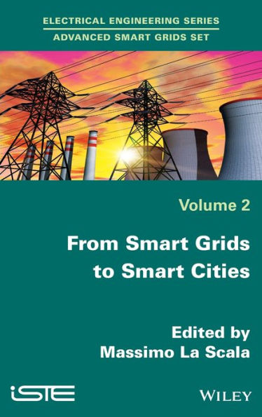 From Smart Grids to Smart Cities: New Challenges in Optimizing Energy Grids