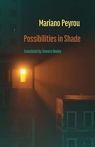 Possibilities In Shade: Posibilidades En La Sombra - 9781848618596