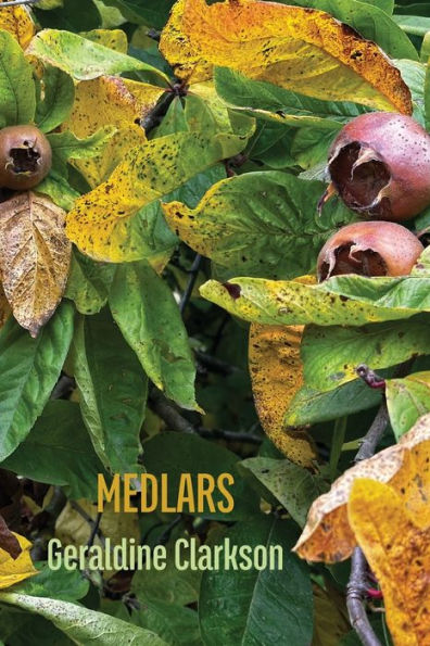 Medlars - 9781848618688