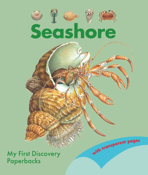 Seashore (My First Discovery Paperbacks)