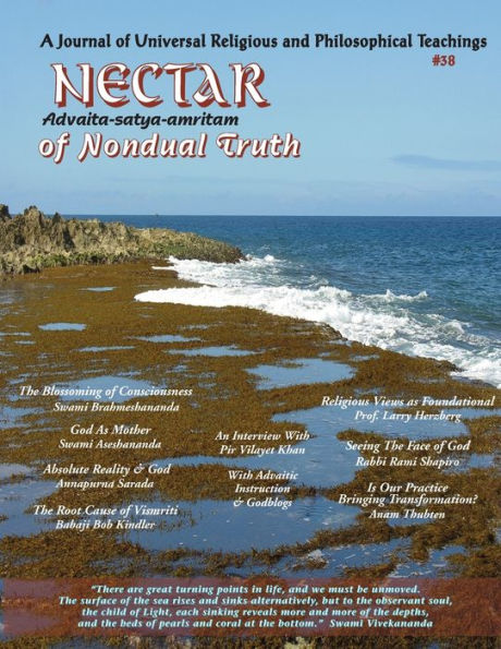 Nectar Of Nondual Truth #38: A Journal Of Universal Religious & Philosophical Teachings - 9781891893339