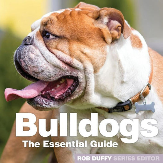 Bulldogs: la guía esencial