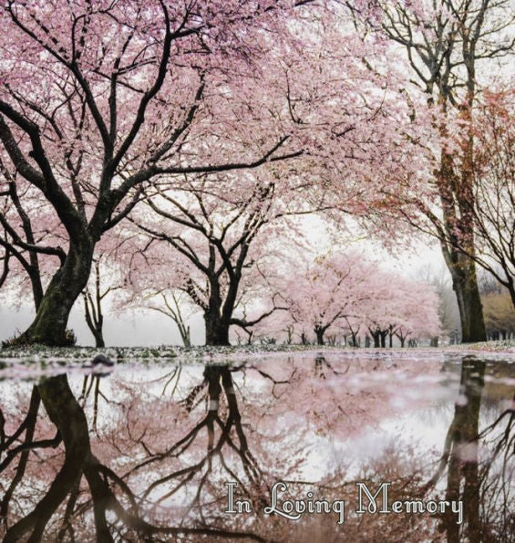 In Loving Memory Funeral Guest Book, Celebration of Life, Wake, Loss, Memorial Service, Love, Condolence Book, Funeral Home, Missing You, Church, Thoughts and In Memory Guest Book (Hardback)