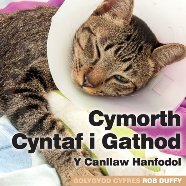 Cymorth Cyntaf i Gathod: Y Canllaw Hanfodol (edición galesa)