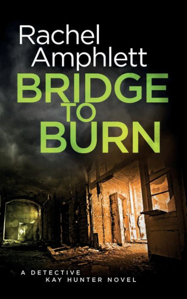 Bridge to Burn: A cold case murder mystery (Detective Kay Hunter, 7)