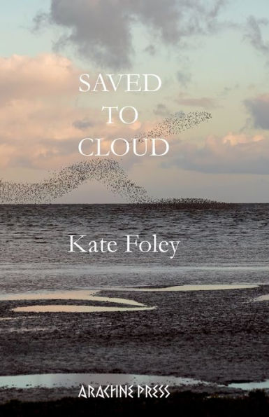 Saved To Cloud - 9781913665760