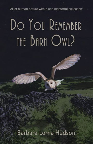 Do You Remember The Barn Owl? - 9781914060434