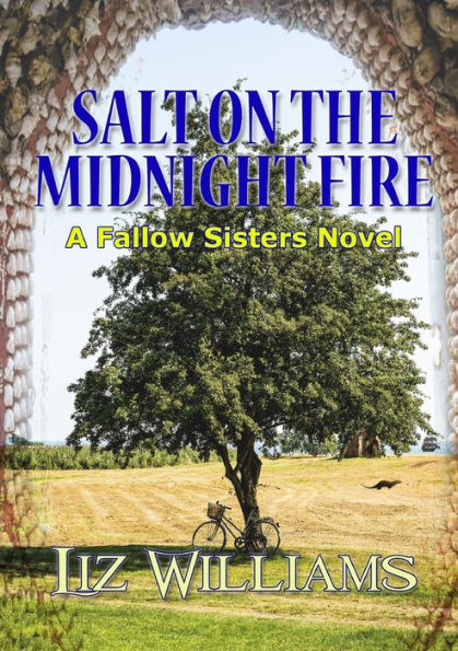 Salt On The Midnight Fire - 9781914953514