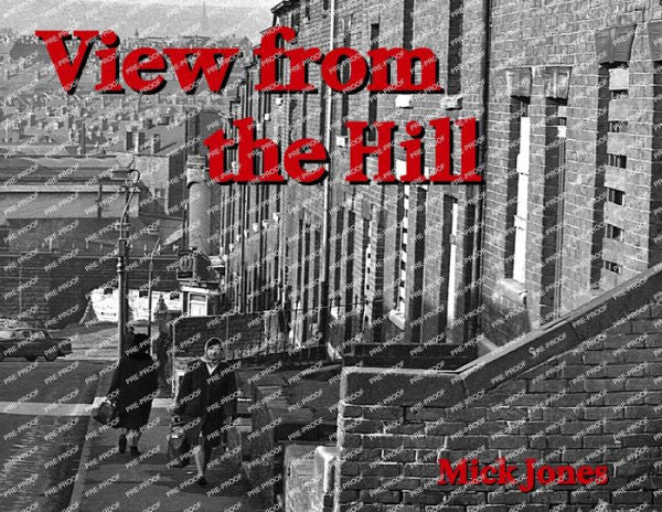 View From The Hill (Collectors' Edition): (Collectors' Edition)