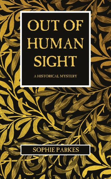 Out Of Human Sight: A Historical Mystery - 9781915179135
