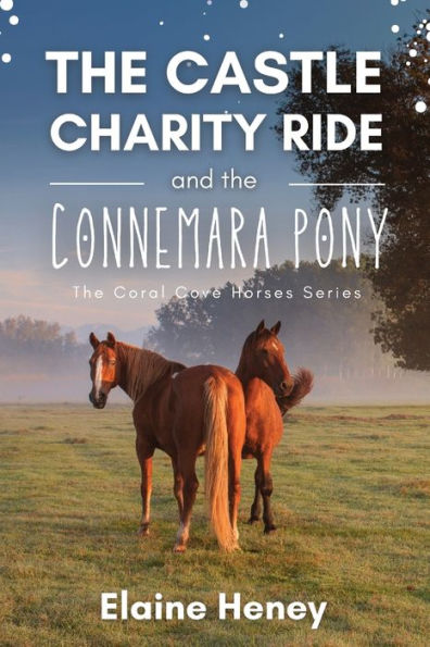 The Castle Charity Ride And The Connemara Pony - The Coral Cove Horses Series (Coral Cove Horse Adventures For Girls And Boys) - 9781915542304