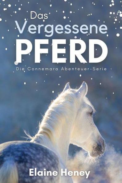 Das Vergessene Pferd: Die Connemara Abenteuer-Serie (German Edition) - 9781915542335
