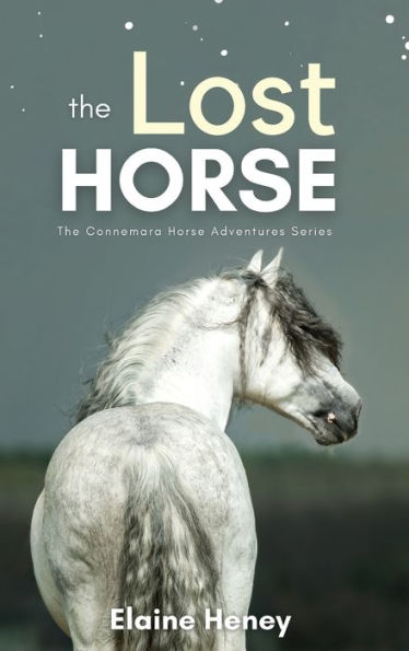 The Lost Horse - Book 6 In The Connemara Horse Adventure Series For Kids The Perfect Gift For Children (Connemara Pony Adventures) - 9781915542496