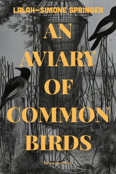 An Aviary Of Common Birds - 9781915760302
