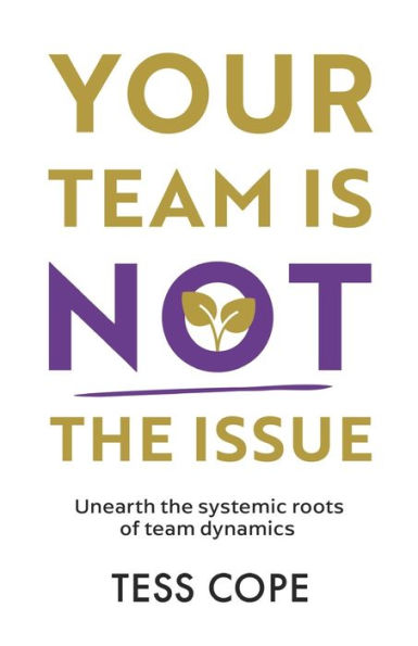 Your Team Is Not The Issue: Unearth The Systemic Roots Of Team Dynamics