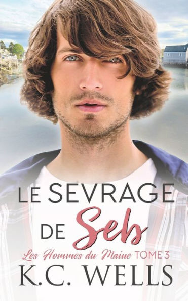Le Sevrage De Seb (Les Hommes Du Maine) (French Edition) - 9781915861184