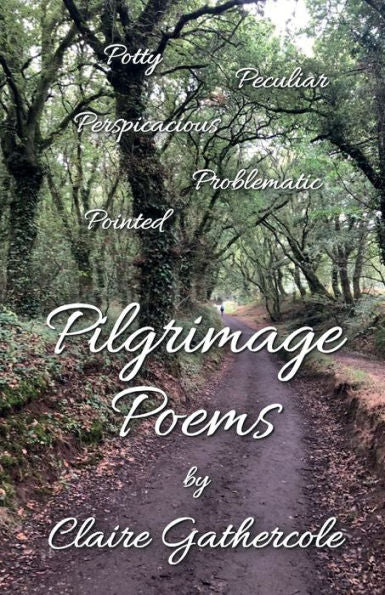 Pilgrimage Poems - 9781915889119