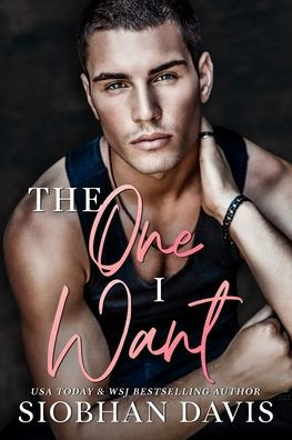 The One I Want: An Angsty Emotional Stand-Alone Contemporary Romance